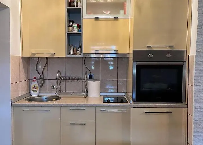 Apartment Family Zlatibor